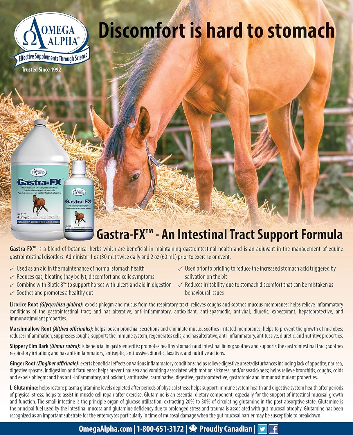 Omega Alpha Gastrafx (32 Oz) : Health & Household