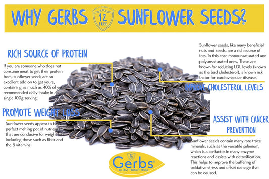 Gerbs Jumbo Lightly Sea Salted Whole Sunflower Seeds 14 Oz. Resealable Bag | Top 14 Allergy Free | Superfood | Crack Shell Eat Kernel | Grown In Usa