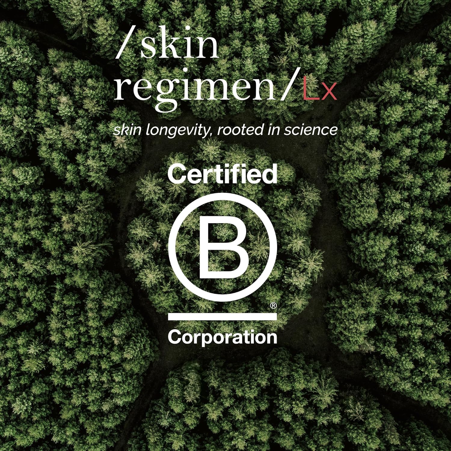 /Skin Regimen/ Lx Pink Kaolin Mask, Illuminating Clay Mask, 75 Ml : Beauty & Personal Care