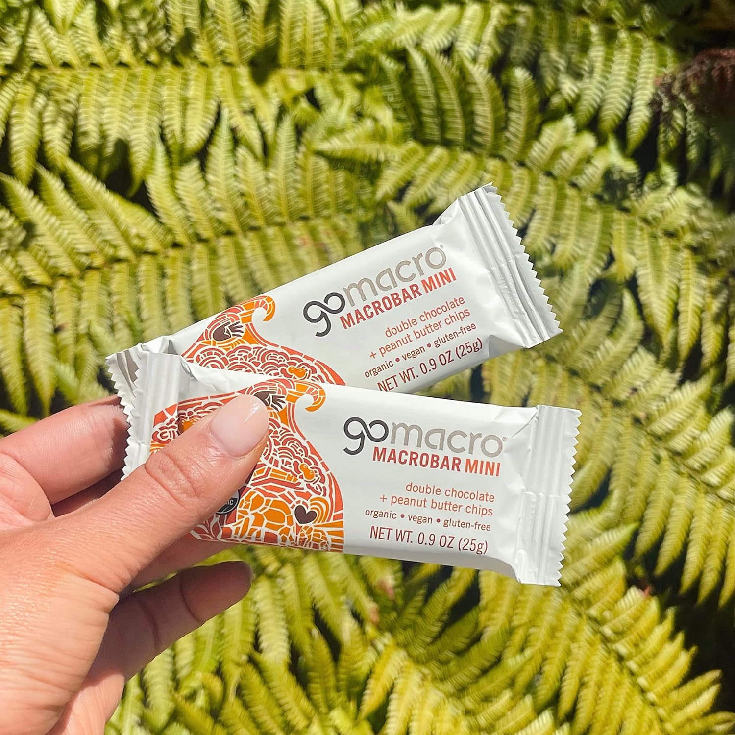 Gomacro Macrobar Mini Organic Vegan Snack Bars β Double Chocolate + Peanut Butter Chips (0.9 Ounce Bars, 24 Count)