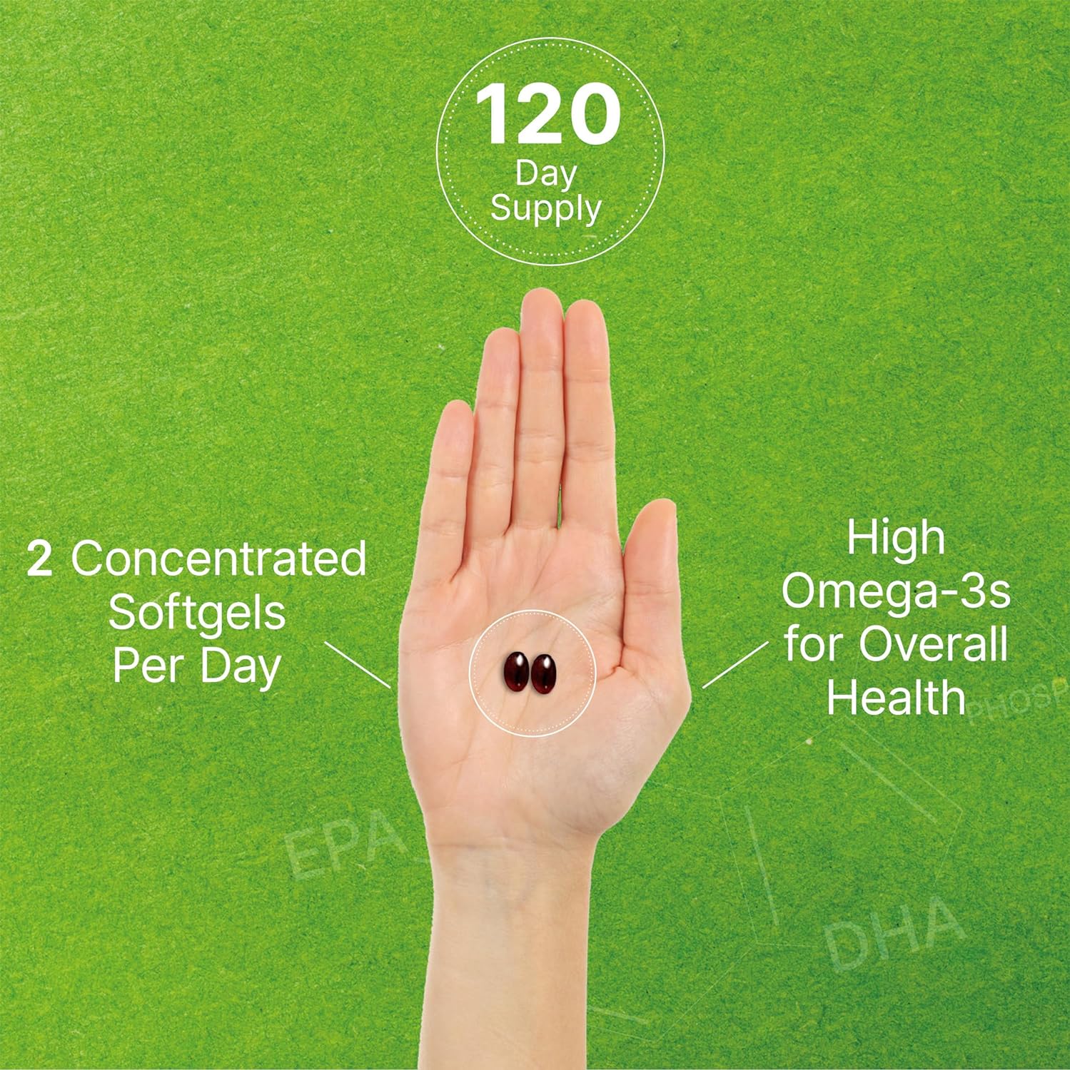 Antarctic Krill Oil, 1,000mg Per Serving, 240* Softgels β Mercury Free, No Fishy Taste : Health & Household