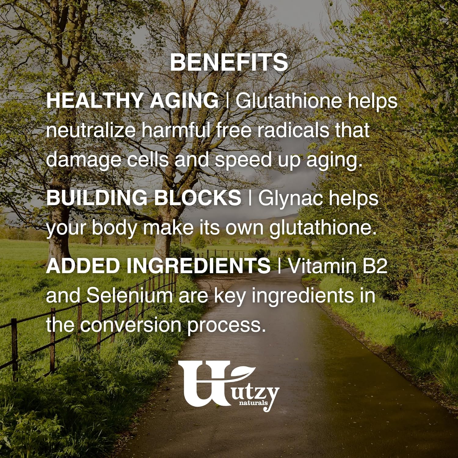 Utzy Naturals Glynac+ Supplement | 1,000Mg Of Glycine & Nac (N-Acetyl Cysteine) | With Vitamin B2 Cofactor For Glutathione Production | 90 Capsules : Health & Household