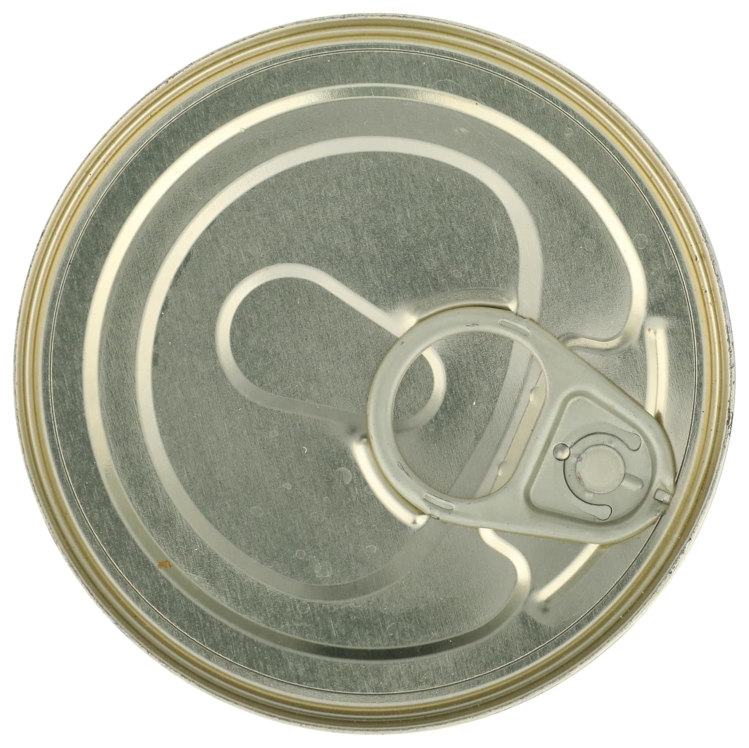 Bioitalia Organic Canned Green Lentils, 14 Oz