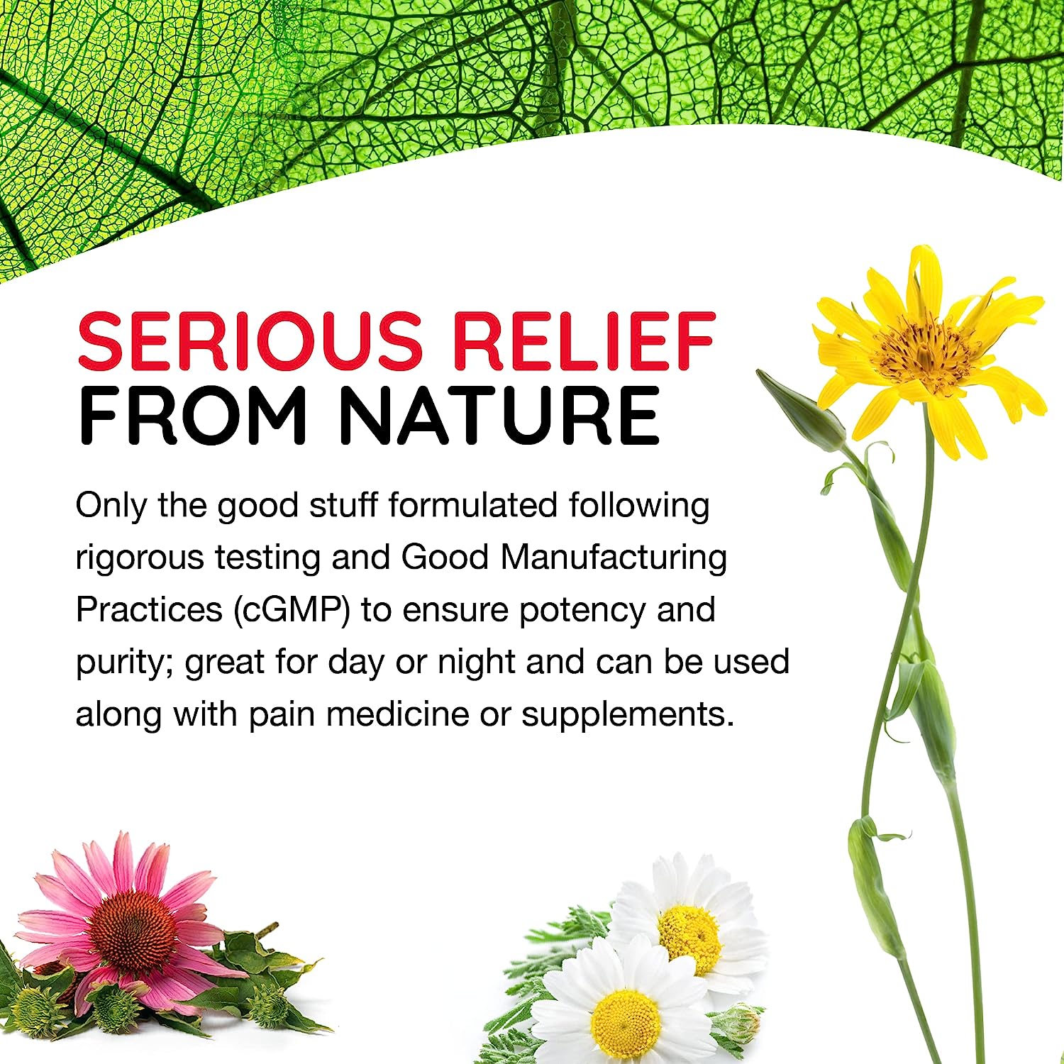 T-Relief Extra Strength Pain Relief Arnica +12 Natural Relieving Activ