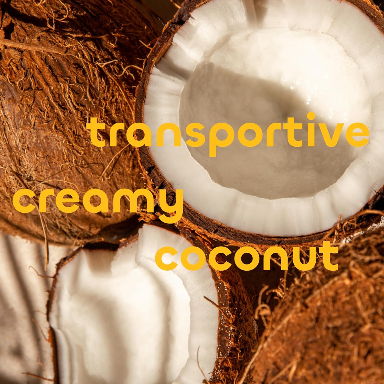 Seaweed Bath Co Creamy Coconut Daily Lotion, 30 Oz : Beauty & Personal Care