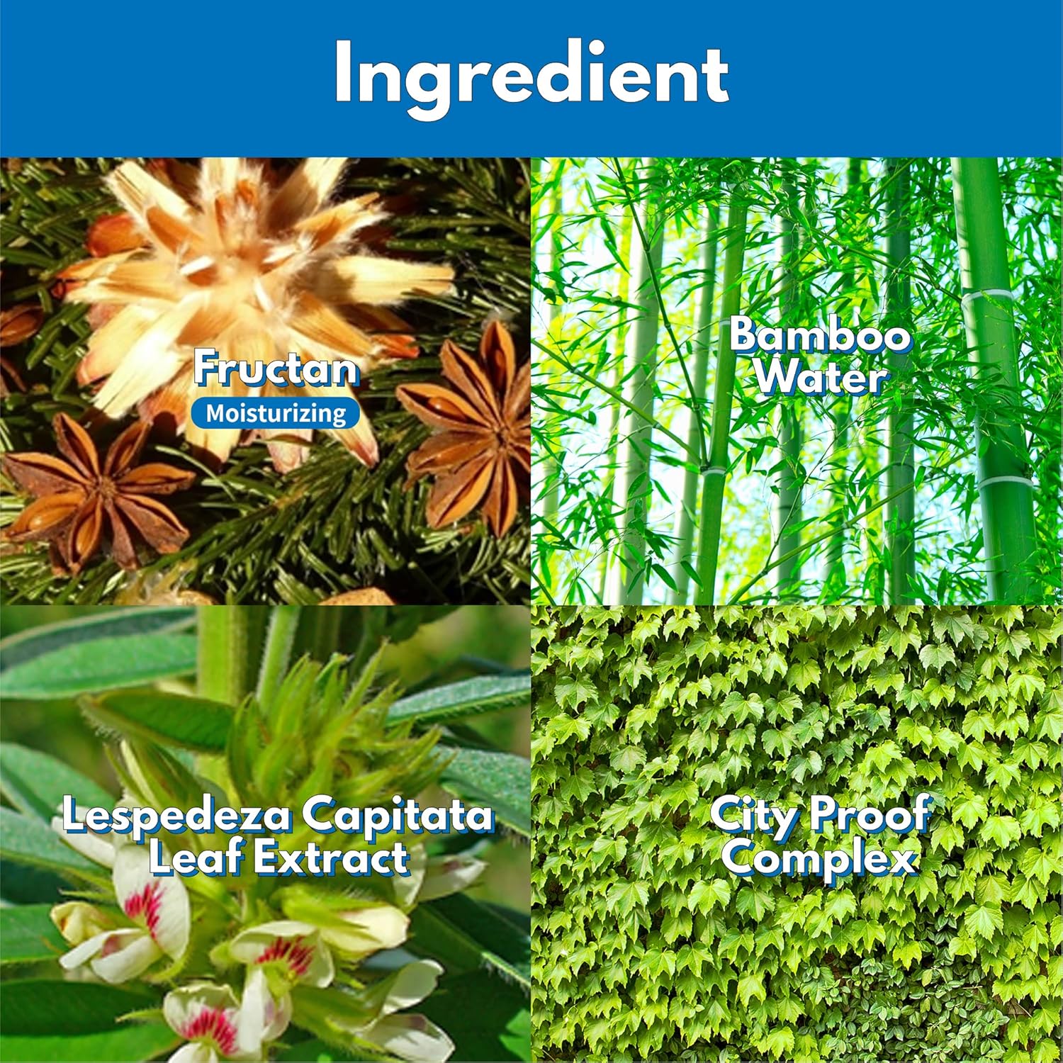 Makeprem Uva Uvb Defense Me Daily Sun Essence Vegan Makeup Sunscreen Gel Spf 50+ Pa++++ 1.69 Fl Oz Reef-Safe Moisture Sunblock Strong Uv Blue Ray Broad Protection Dry Oily Sensitive Acne-Prone Skin : Beauty & Personal Care