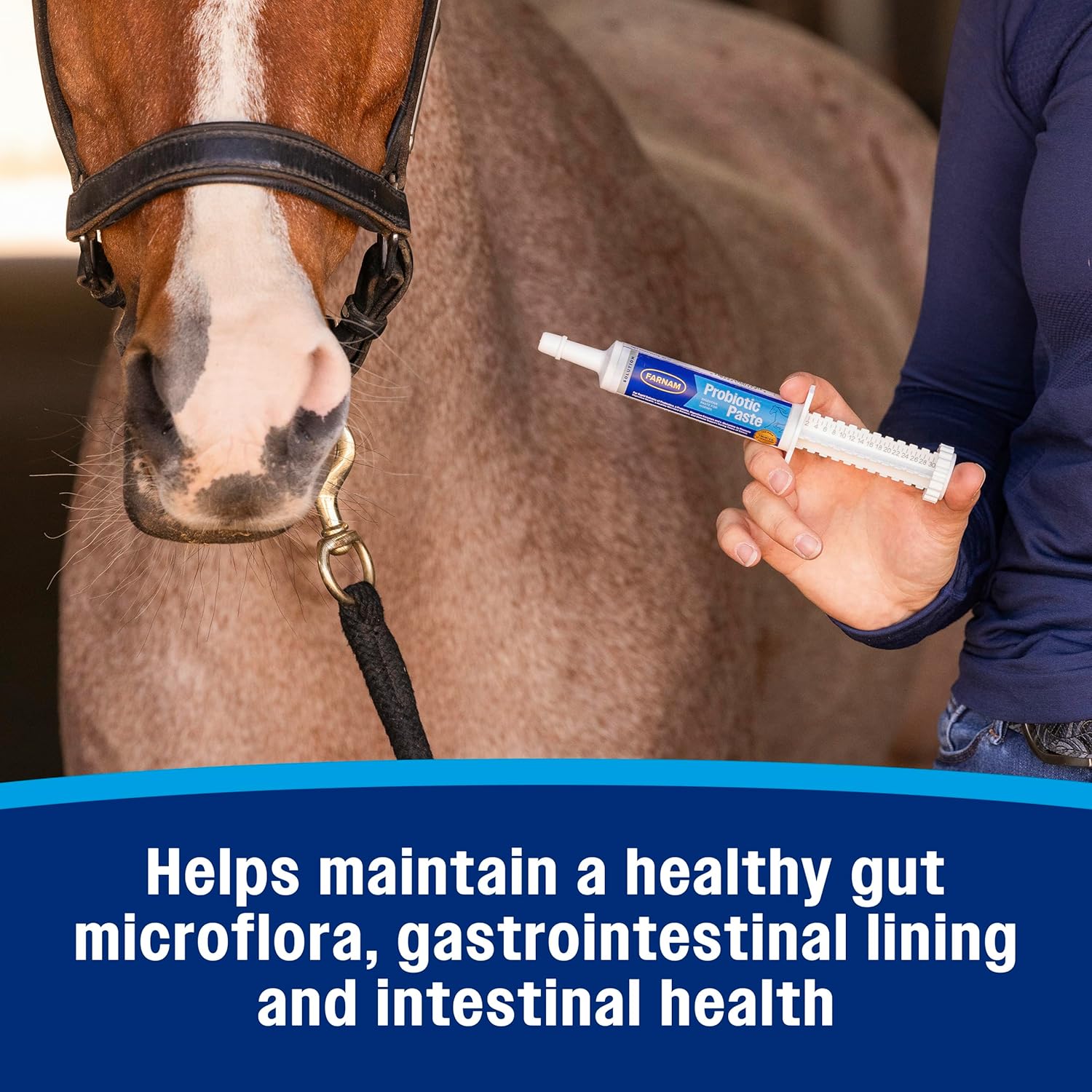 Farnam Probiotic Paste For Horses, Rapid Delivery Digestive And Immune Health Supplement Supports A Healthy Microbial Balance In Times Of Stress : Pet Supplies
