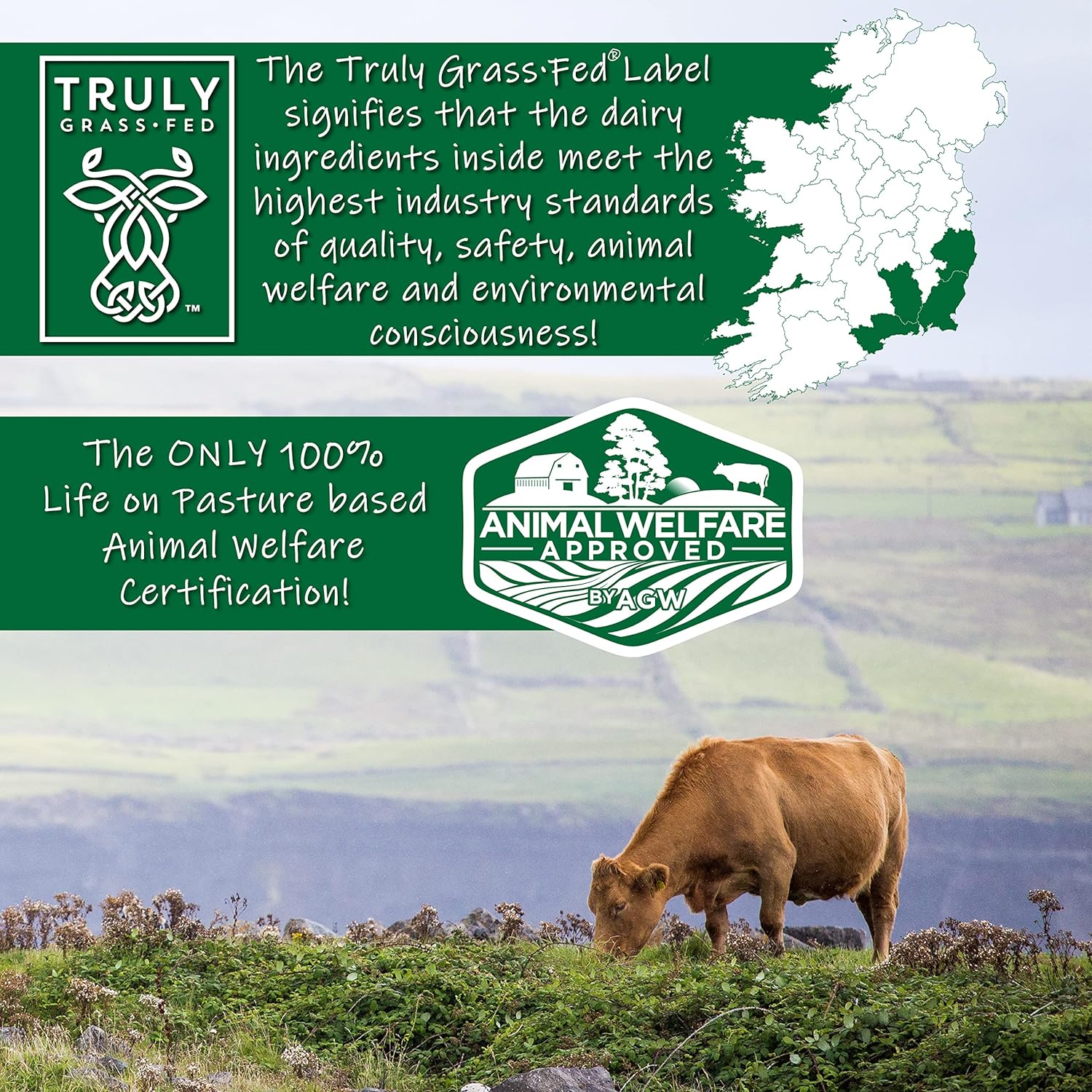 AGN Roots Grass Fed Whey Protein Powder Isolate - Unflavored - Unsweetened - Certified Entire Life On Pasture - A Greener World - ASPCA Registered Brand List - Informed-Sport - 3lbs : Health & Household