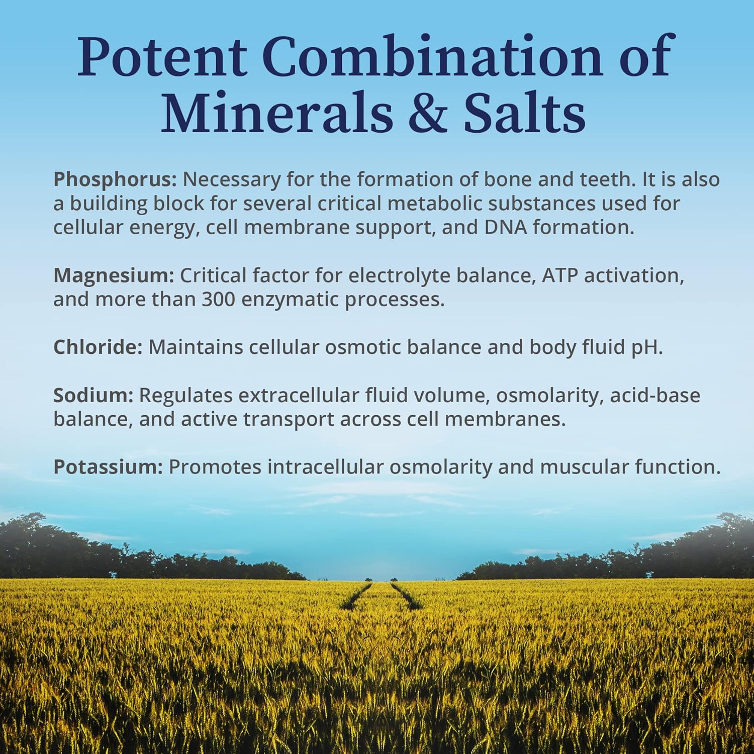 Biopure Matrix Electrolyte Powder – Vital Mineral & Salt Supplement, Including Magnesium & Sodium Chloride, To Promote Normalized Electrolyte, Hydration, & Ph Levels For Whole-Body Wellness – 100G : Health & Household