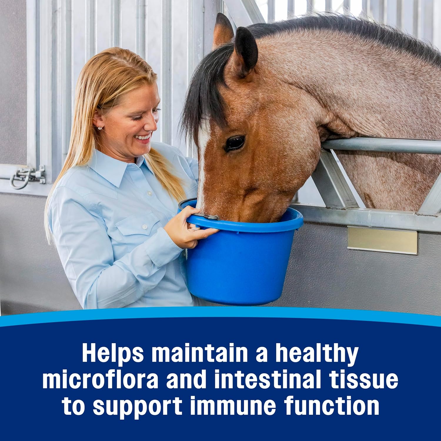 Farnam Hindgut Stabilizer Pellets, Daily Digestive & Immune Supplement For Horses Helps Maintain A Balanced Microbiome For Optimal Digestion : Pet Supplies