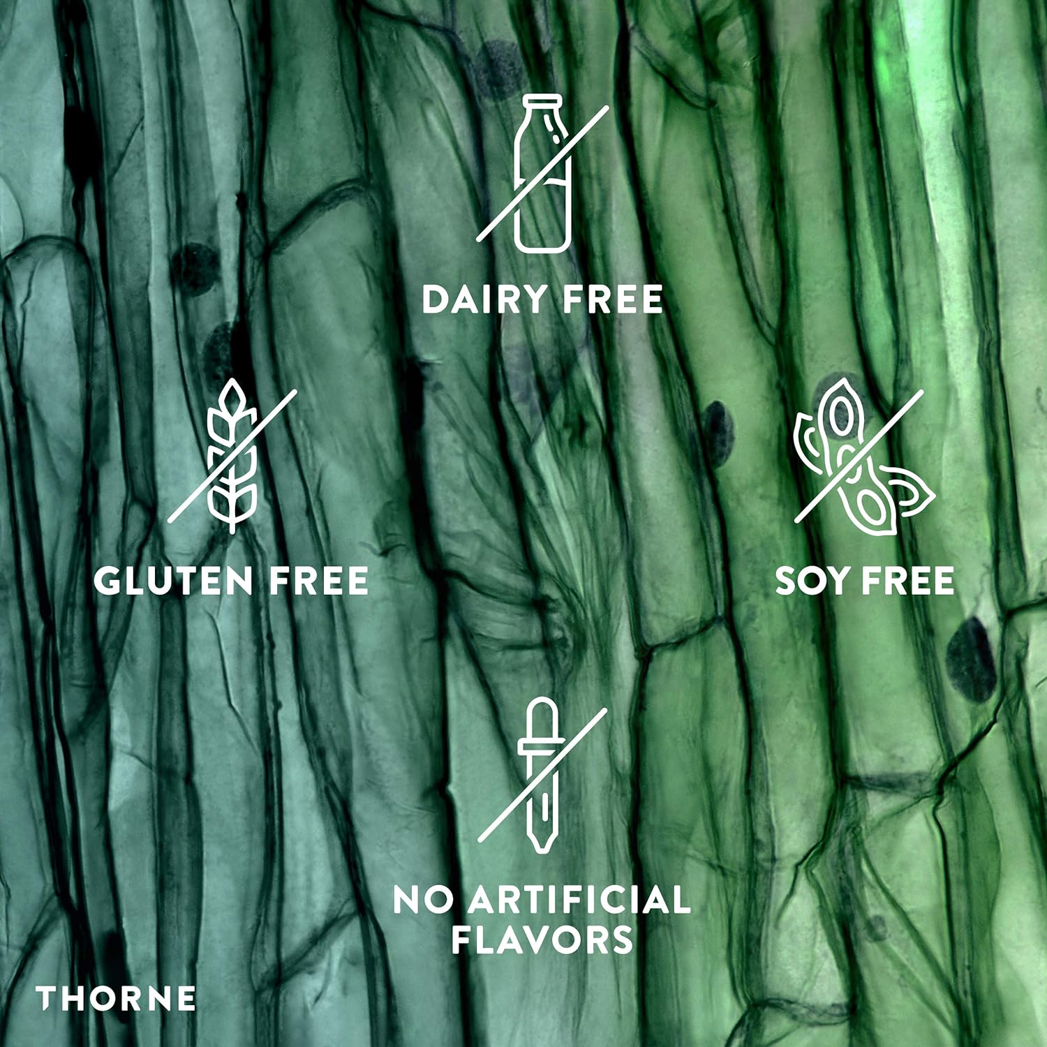 Thorne L-Carnitine - Amino Acid Supplement to Support Energy Productio