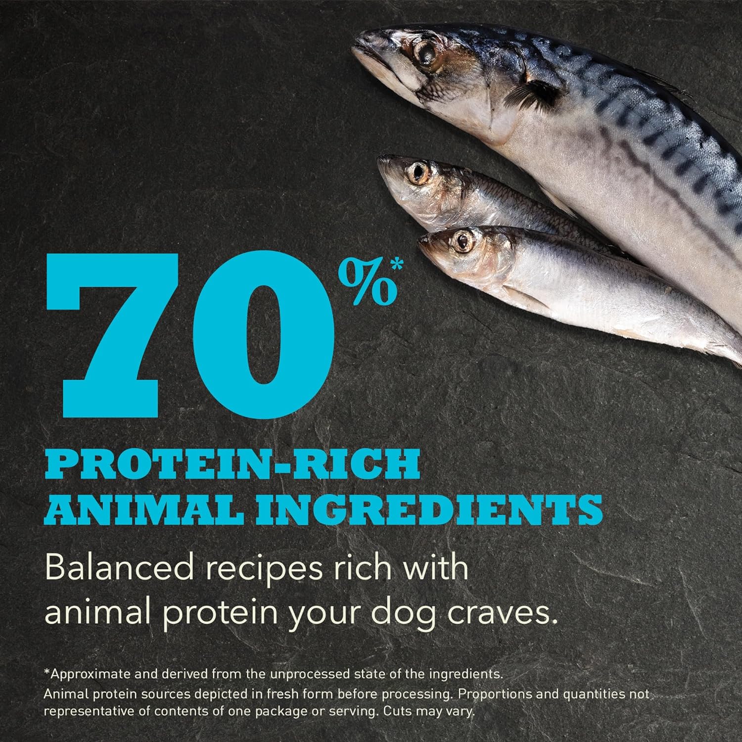 ACANA Highest Protein Dry Dog Food, Wild Atlantic, Fish Recipe, 4.5lb : Pet Supplies