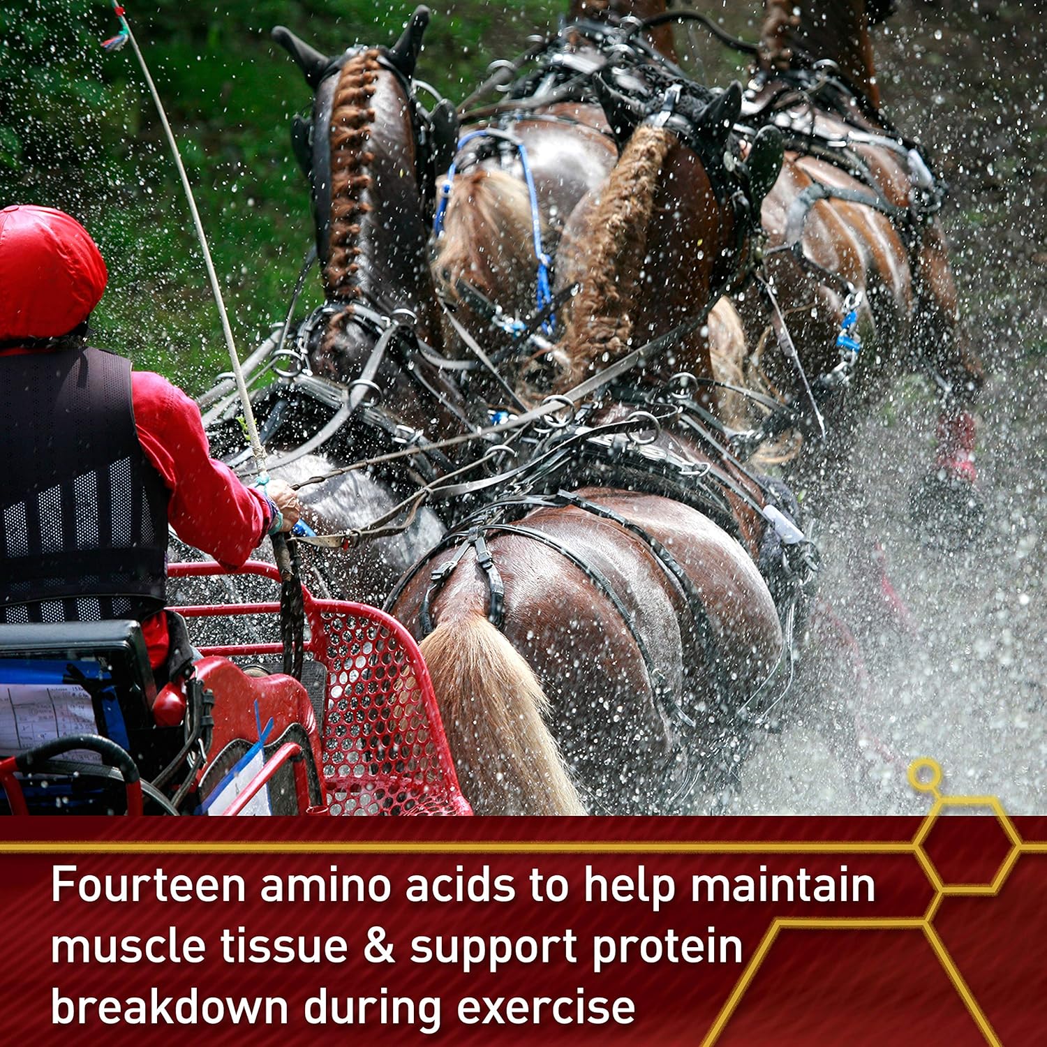 Vita Flex Pro Accel Health & Wellness Formula, Horse Supplement, 15 Pounds, 240-Day Supply : Pet Supplies