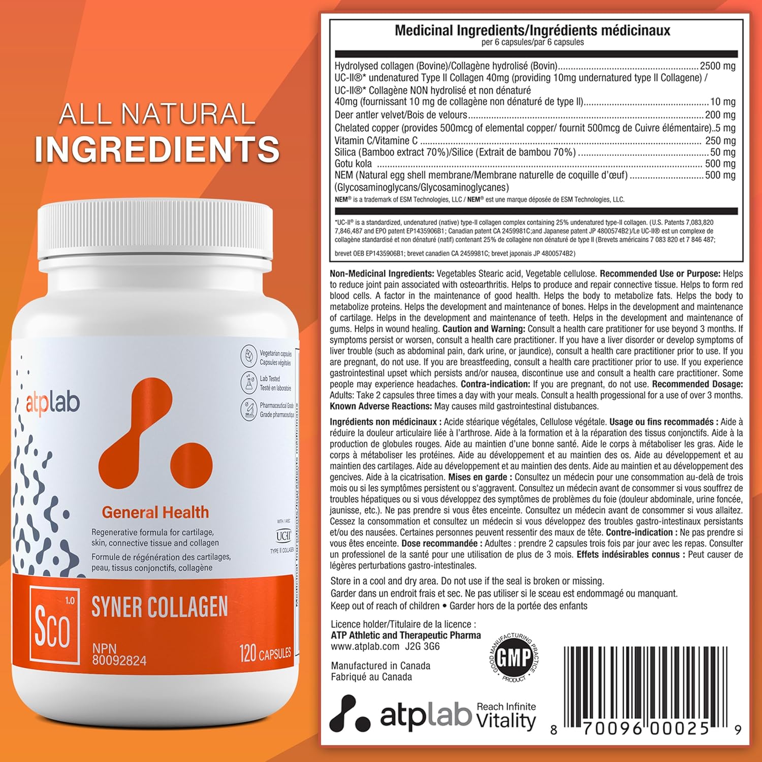 Atp Lab | Syner Collagen 120 Caps | Formerly Collagenik. Collagen Regeneration Formula 79% More Effective Than Glucosamine : Health & Household