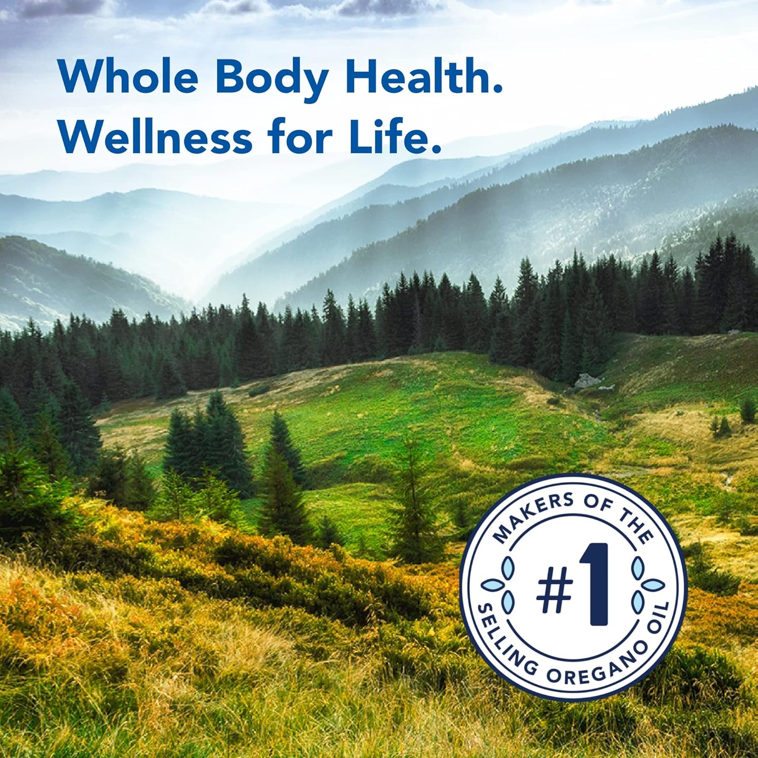 North American Herb And Spice, Black Seed Plus, 90-Vcaps : Health & Household