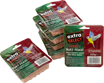 Extra Select Wild Bird High Energy Suet Block Wild Berry, 320 G (Pack Of 6)08Wb010