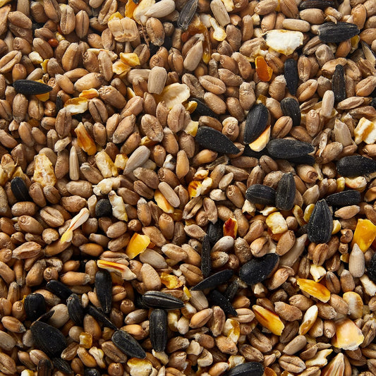 Extra Select Premium Wild Bird Food, 5 Litre08Swbfb5