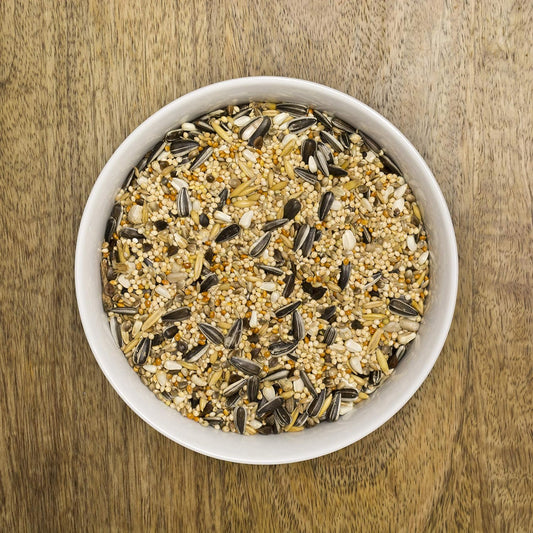 Parakeet Food 1Kg - Seed & Nut Feed Mix For Parakeets - Seedzbox Parakeet Food - Complete Foodstuff Specifically For Parakeets - Donation To Onetreeplanted