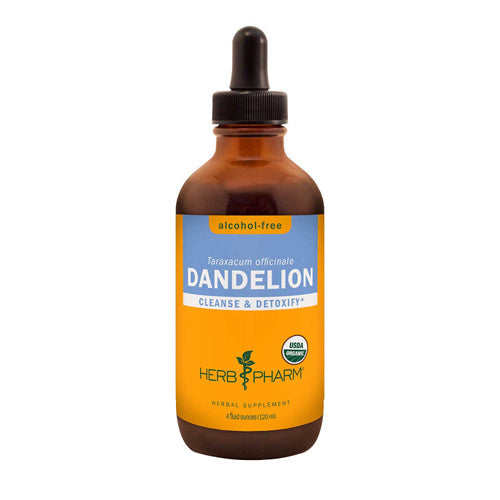 Dandelion Glycerite 4 Oz By Herb Pharm