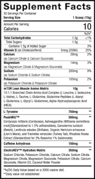 Musclesport Bcaa Nrg Amino Acid Energy Powder Supplement For Men & Wom