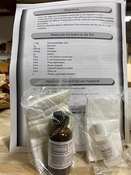 Innovating Science Enzymes And The Process Of Digestion Kit: Small Gro1.05 Pounds