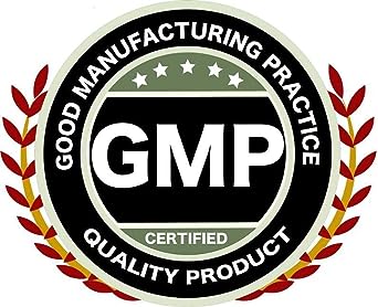 Gymnema Sylvestre Leaf (Organic) Tea (25 Tea Bags, Zin: 511810)