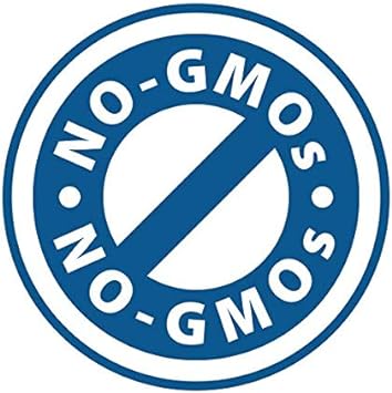 Olympian Labs Plant Based Pea Protein Powder, Vanilla - 25g of Protein