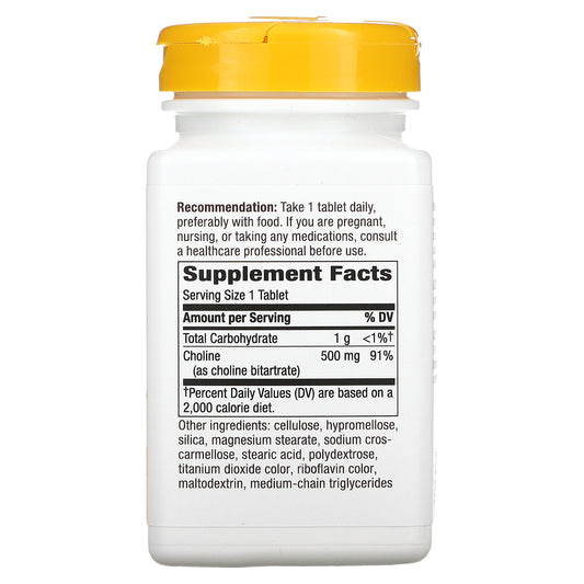 Nature'S Way, Choline, 500 Mg, 100 Vegan Tablets