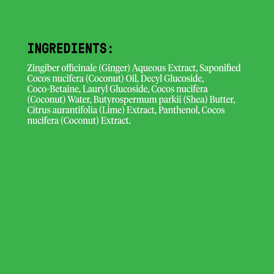 Alaffia - Everyday Coconut Shampoo, Dry to Extra Dry Hair, Gentle Support to Cleanse, Hydrate, and Stimulate Hair with African Ginger, Coconut Oil, and Shea Butter, Fair Trade, Coconut Lime, 32 s