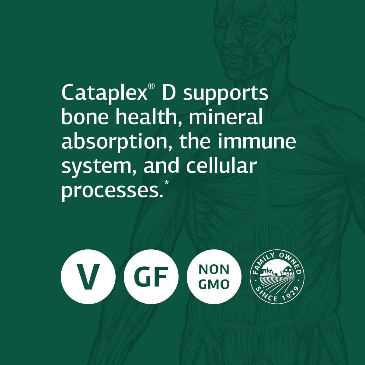 Standard Process Cataplex D - Whole Food Immune Support, Digestive Hea