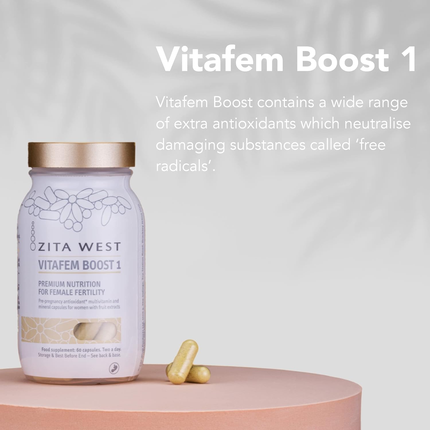 Zita West Female Preconception Support Pack Including Vitafem, Vitafem