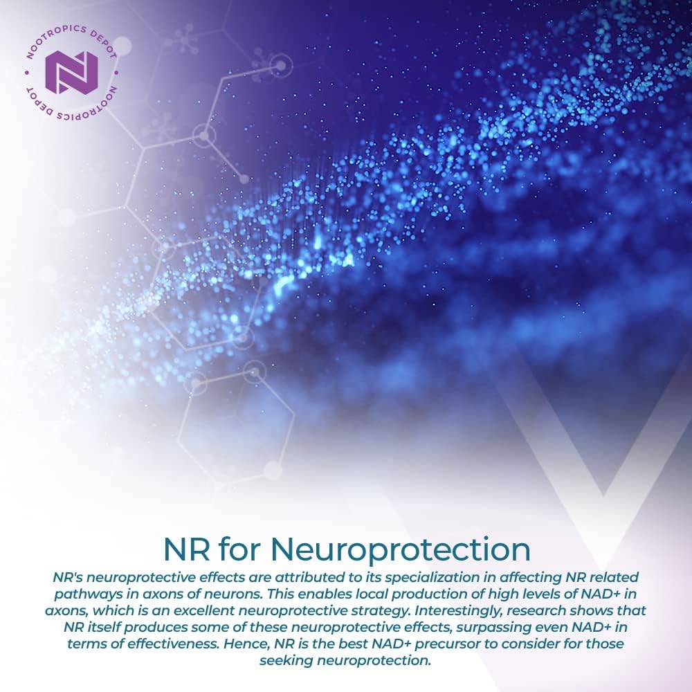 Nootropics Depot Nicotinamide Riboside Capsules | 300mg | NAD+ Precurs