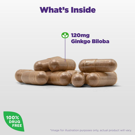 Natrol Brain Health Ginkgo Biloba 120Mg, Dietary Supplement For Brain