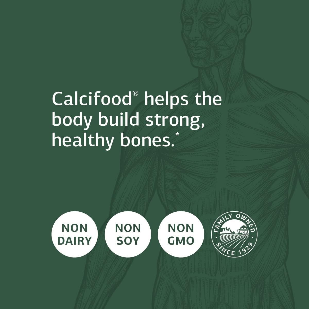 Standard Process Calcifood - Supports Calcium Absorption - Build Bone