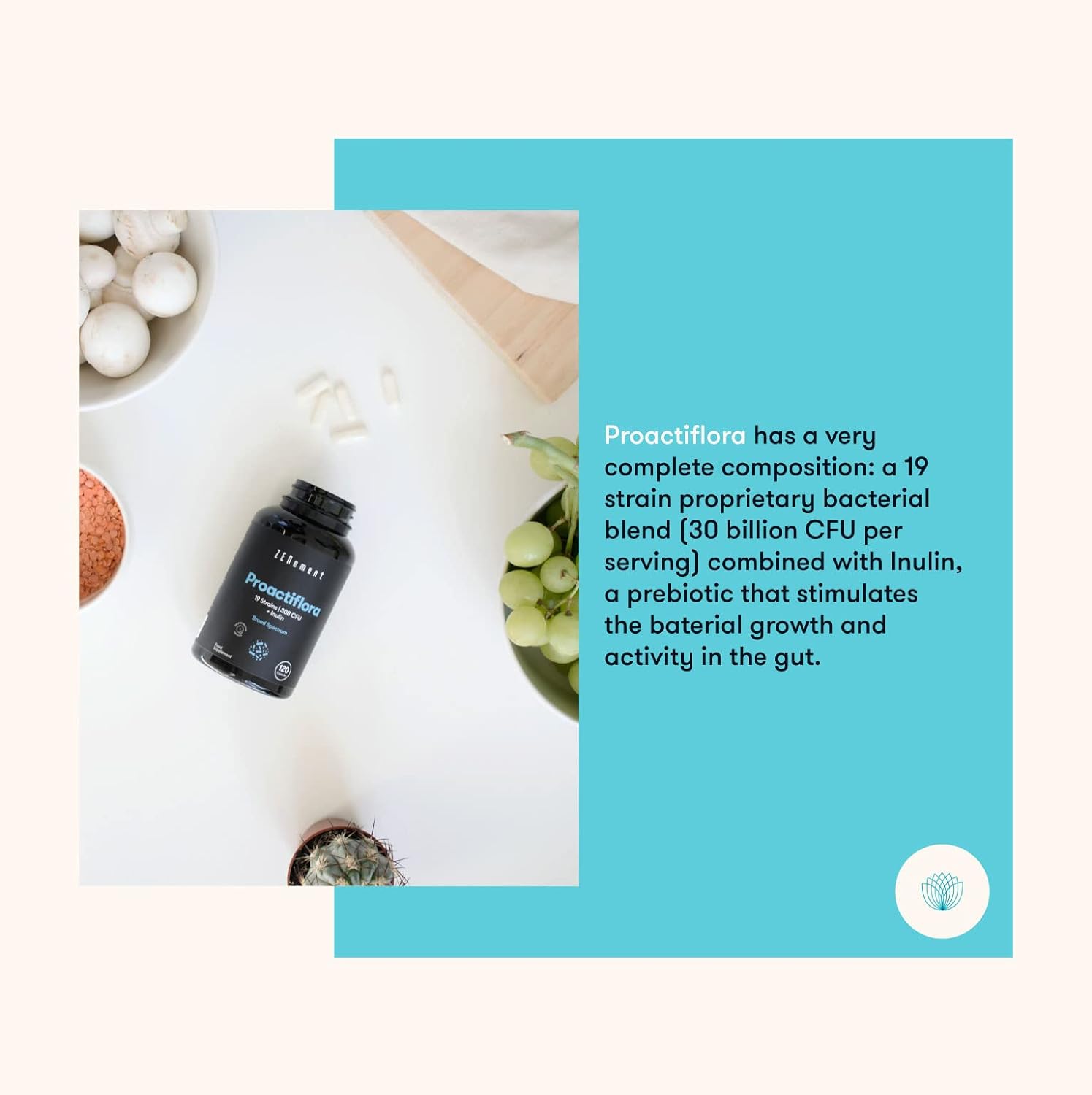 Zenement | Proactiflora, Probiotics, 120 Capsules | 19 Strai