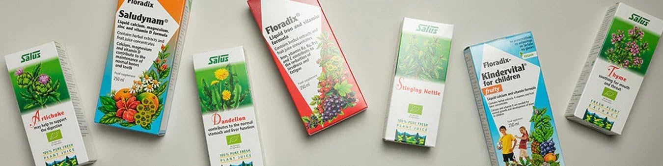 Saludynam Salus Floradix Liquid Calcium Magnesium Zinc and Vitamin D,