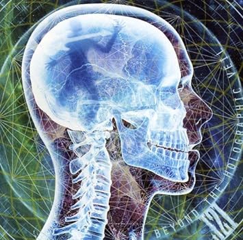 Beyond the Holographic Veil