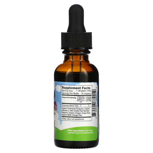 Joyspring, Immune Boost With Echinacea