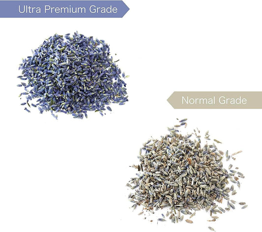 16 Ounces, Dried Lavender Buds - Lavandula Dentata - Highland Lavender Flower Buds, Lv-O-U-3