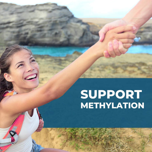 Seeking Health Homocystex Plus, Active B Complex Vitamin Supplement To