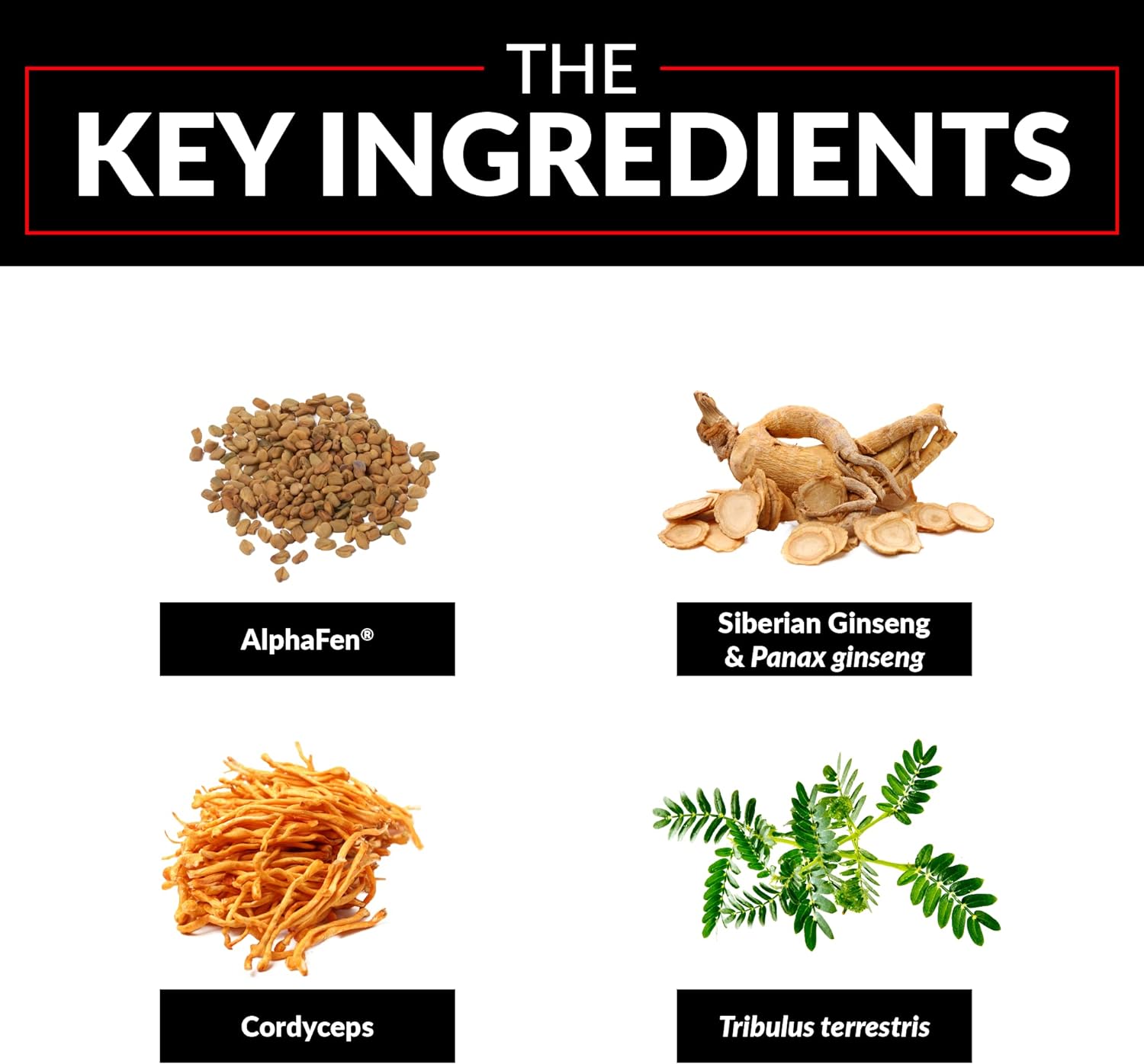 FORCE FACTOR Test X180 Legend Testosterone Booster for Men