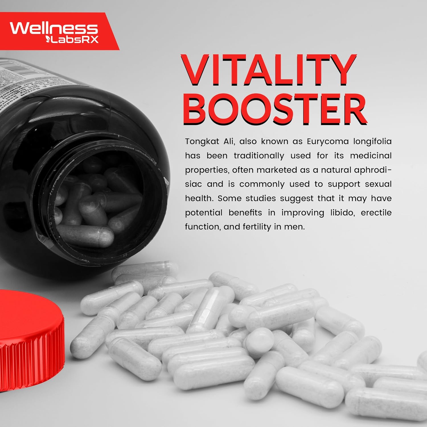 WELLNESS LABSRX Tongkat Ali for Men - 1500mg - Fadogia Arge