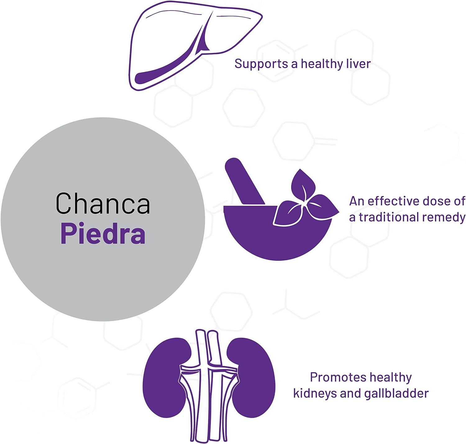 AOR, Chanca Piedra, Herbal Supplement for Kidney, Liver and Gallbladde