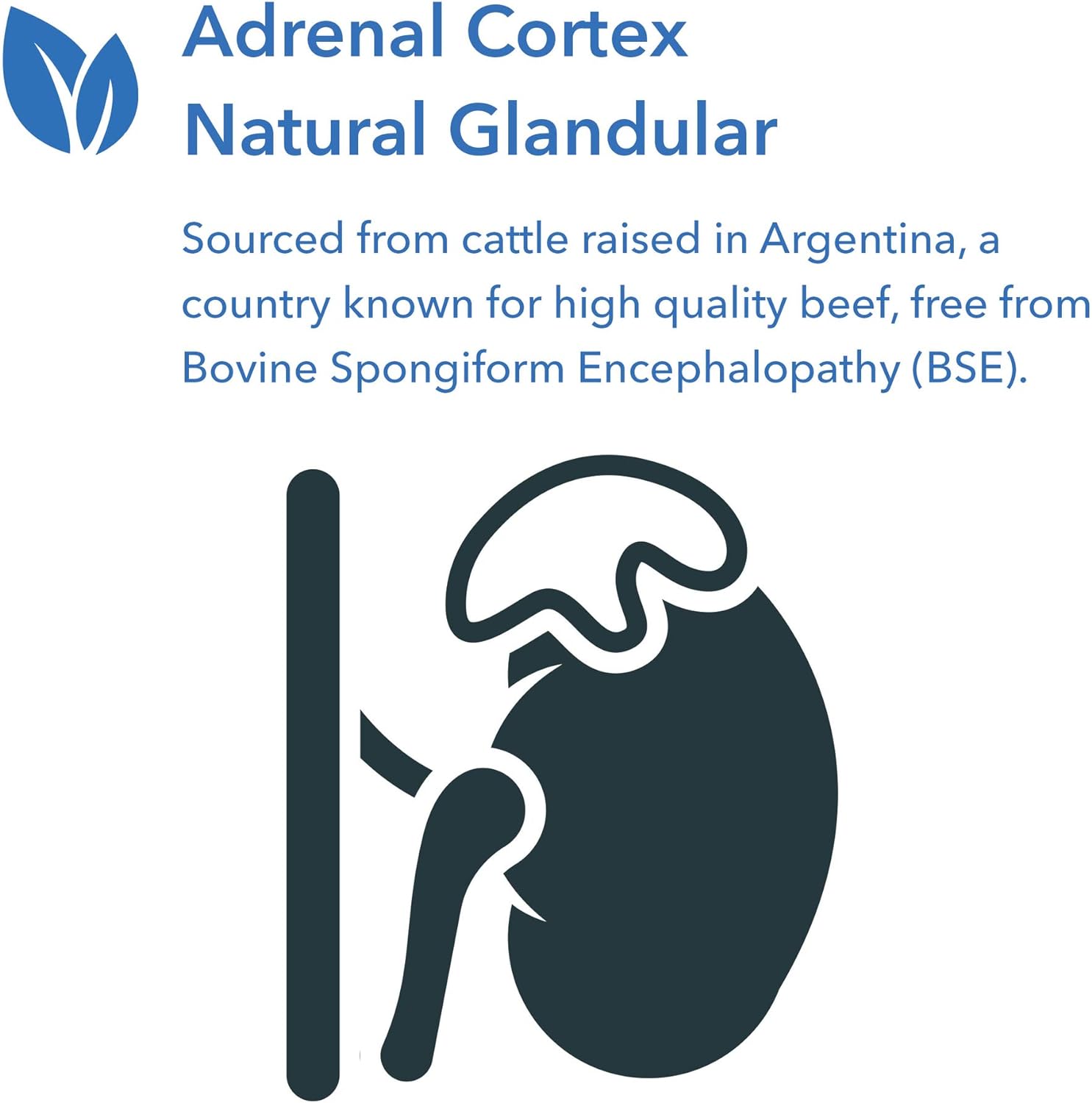Allergy Research Group - Adrenal Cortex Glandular - Stress, Energy, Ad