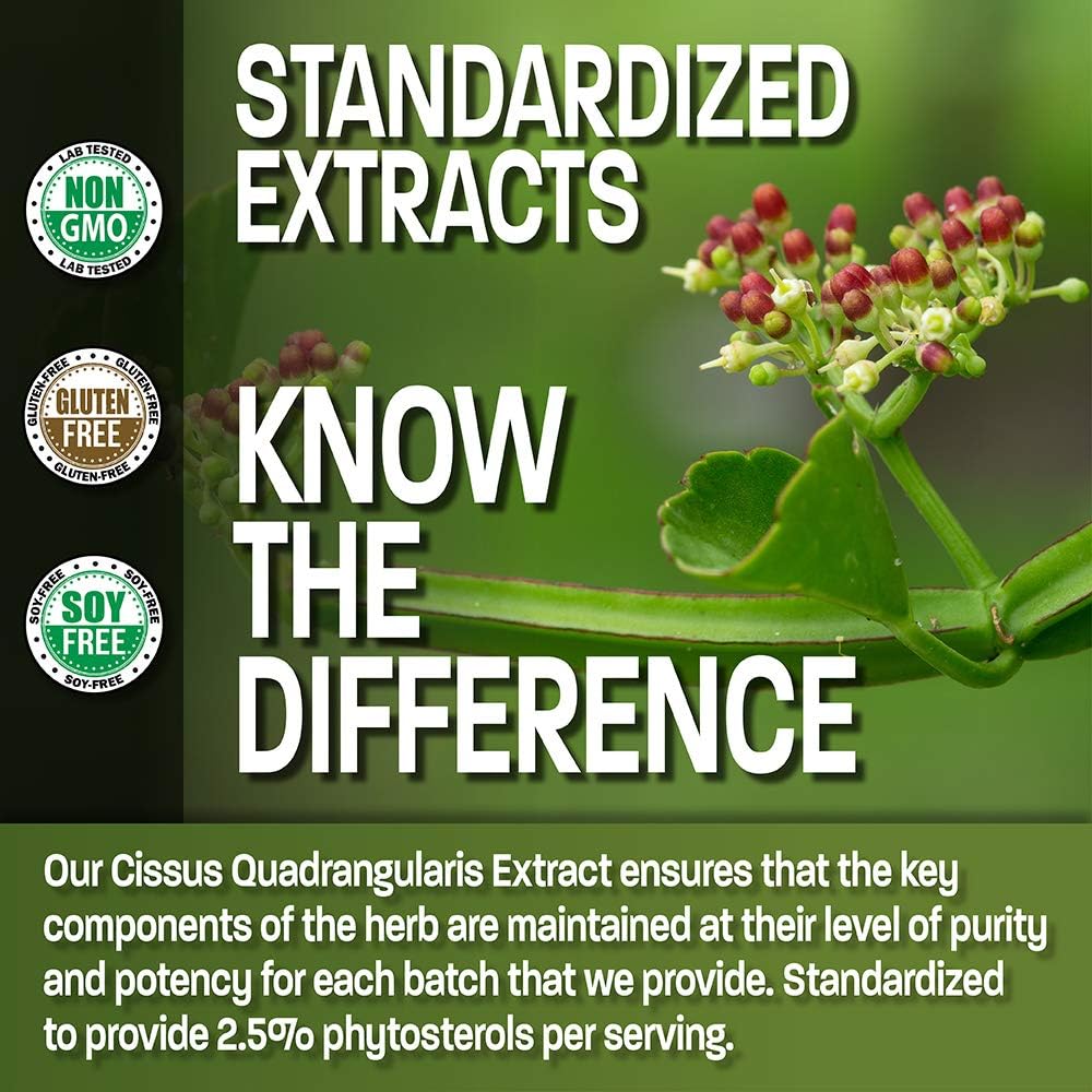 Bronson Cissus Quadrangularis Extract 1000 mg Capsules - Strong Bones