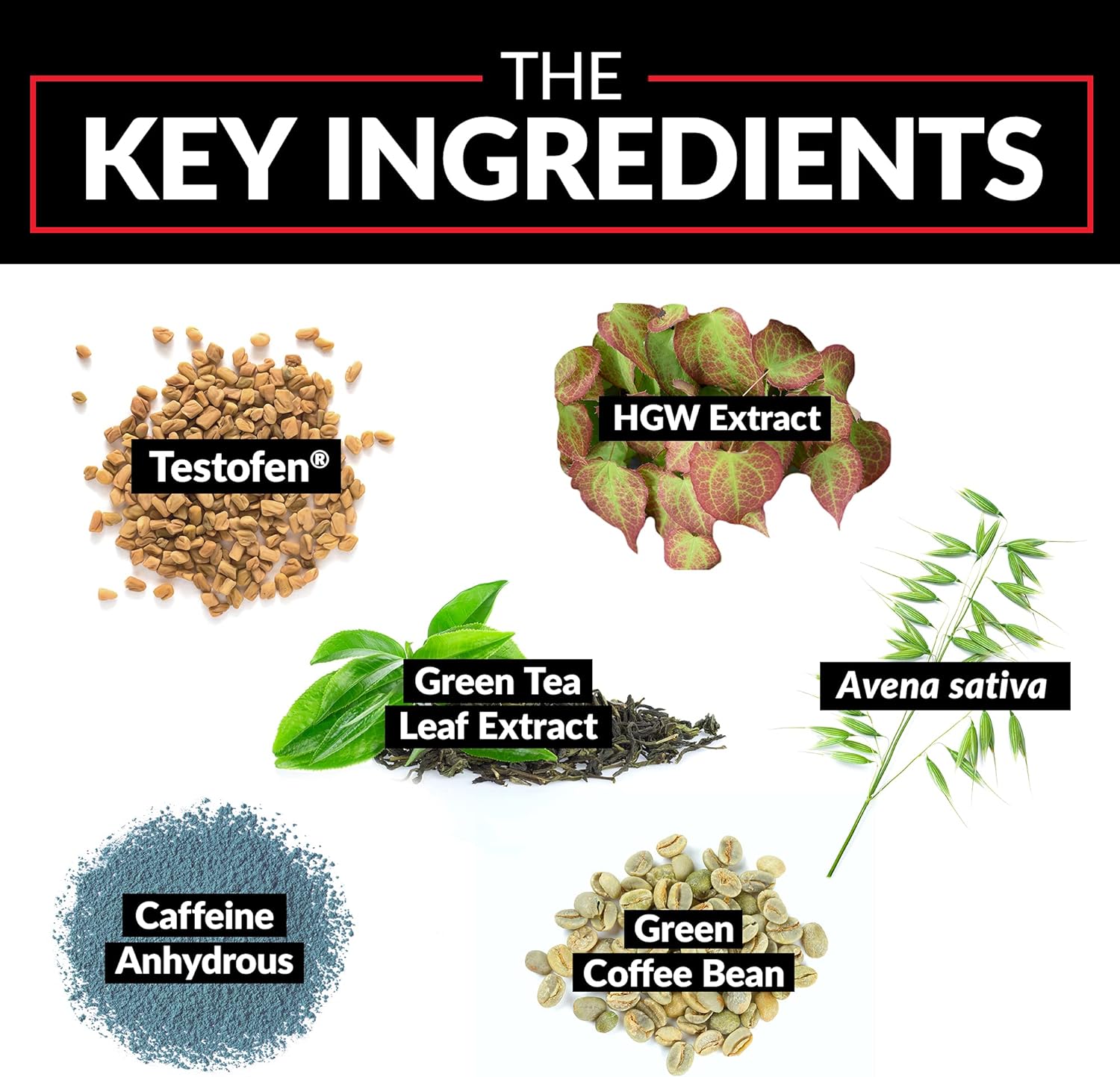 FORCE FACTOR Test X180 Ignite Testosterone Booster for Men,