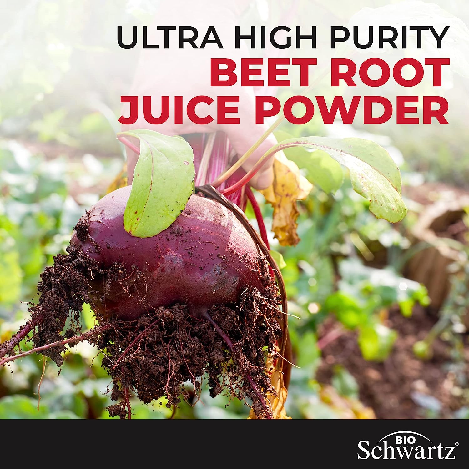 Sugar Free Beet Root Gummies - Nitric Oxide Beet Chews Infu