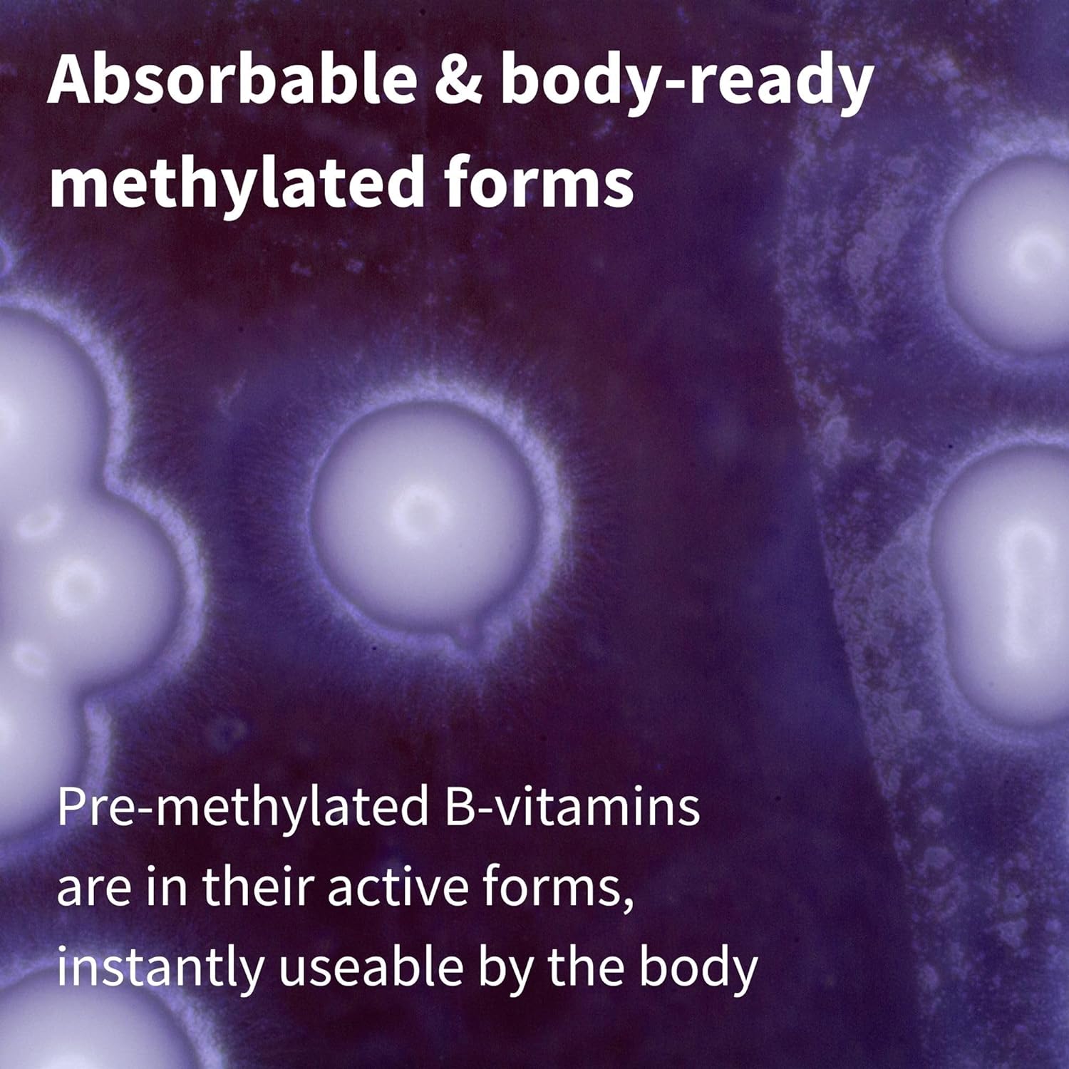 Super B-Complex - High Absorption Methylated B Vitamins, Clean Label,