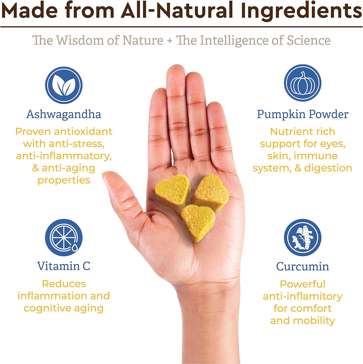 8 in 1 Multi-Vitamin Soft Chews with Pumpkin Powder and Ashw