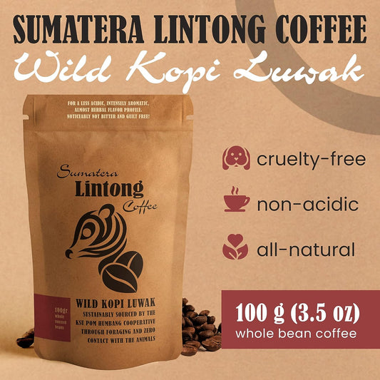 Wild Kopi Luwak, The World’S Most Exclusive Coffee, Sustainably Sourced From Sumatra, Indonesia (100Gr )